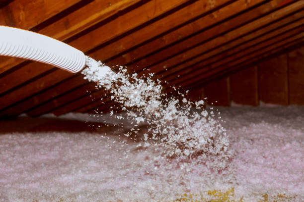 Best Specialized Insulation Services in Pahrump, NV