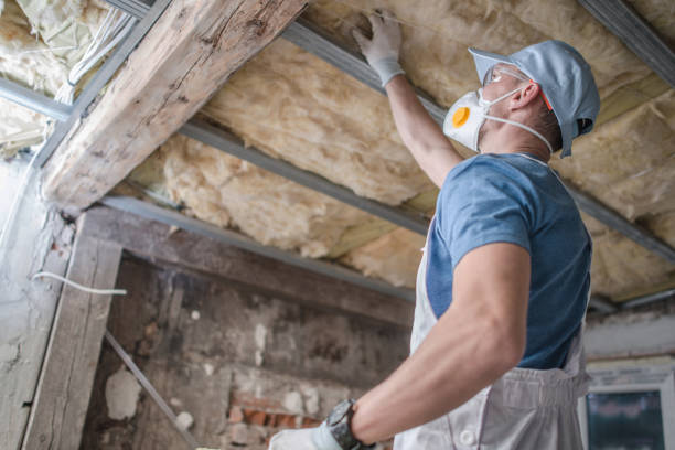 Best Insulation Maintenance and Repair in Pahrump, NV