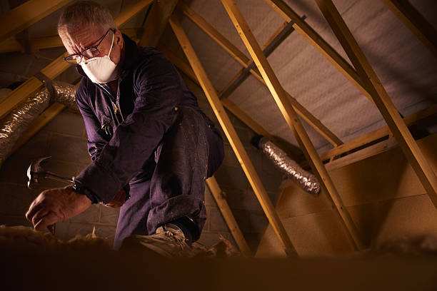 Best Geographic-Specific Insulation Services in Pahrump, NV